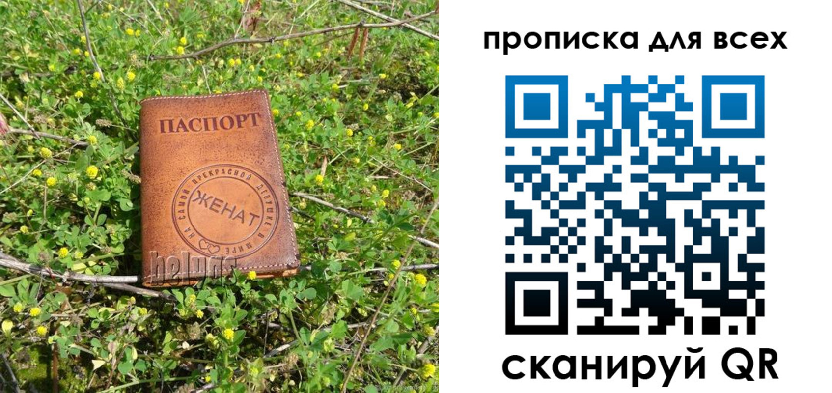 прописка поиск в Амурской области